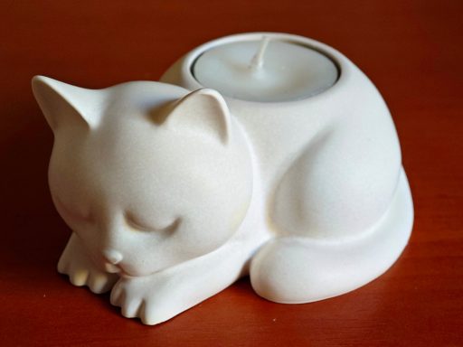 "Schlummerkatze"