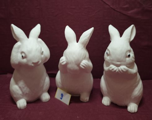 die unwissenden Hasen